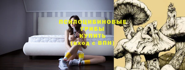 каннабис Аркадак