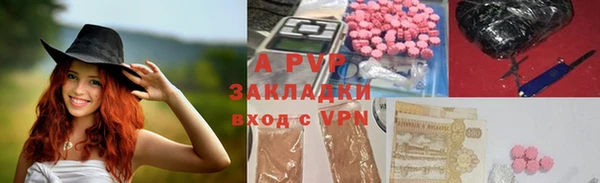 ГАЛЛЮЦИНОГЕННЫЕ ГРИБЫ Арсеньев