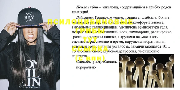 сатива Армянск