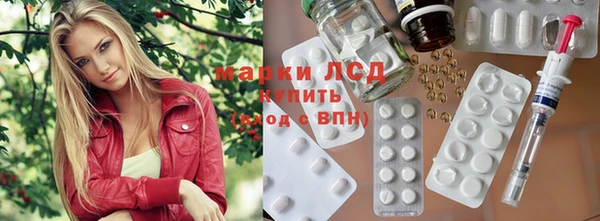 индика Инсар