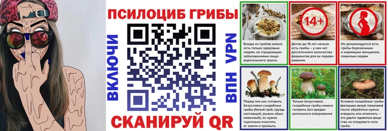 блэк спрут   shop телеграм  Псилоцибиновые грибы Psilocybine cubensis  Бабушкин 